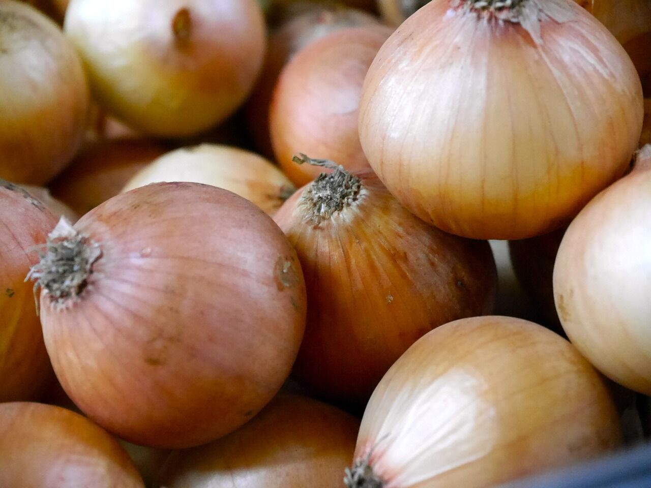 Onions